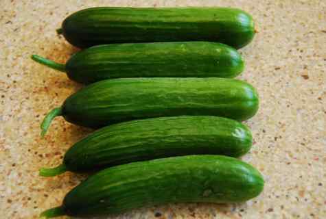 How to grow up cucumbers from seeds